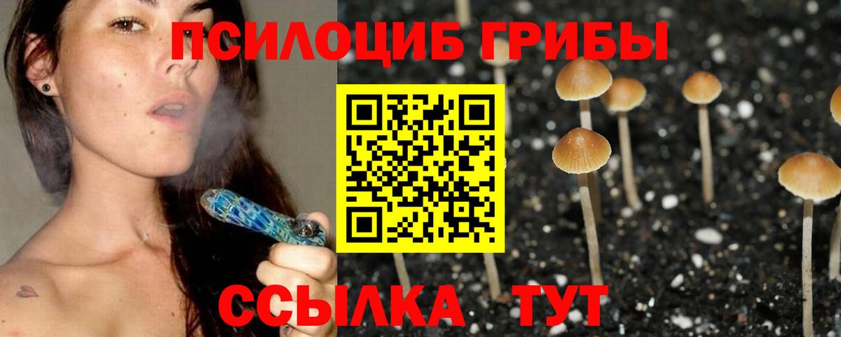 Галлюциногенные грибы Psilocybine cubensis  Вход с VPN  Артёмовский  где можно купить наркотик  Псилоцибиновые грибы мицелий 