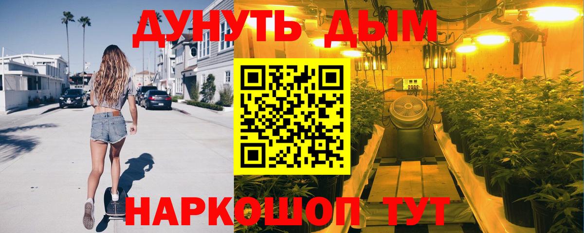 Канабис сатива  Канабис сатива  Артёмовский  Канабис сатива 